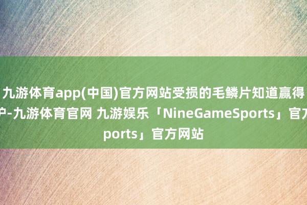 九游体育app(中国)官方网站受损的毛鳞片知道赢得了修护-九游体育官网 九游娱乐「NineGameSports」官方网站